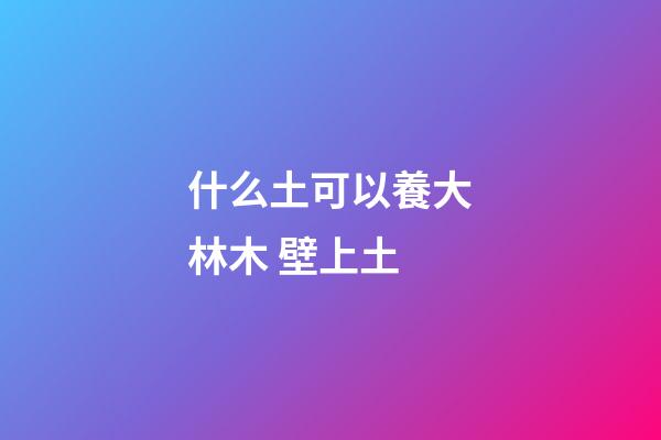 什么土可以養大林木 壁上土
